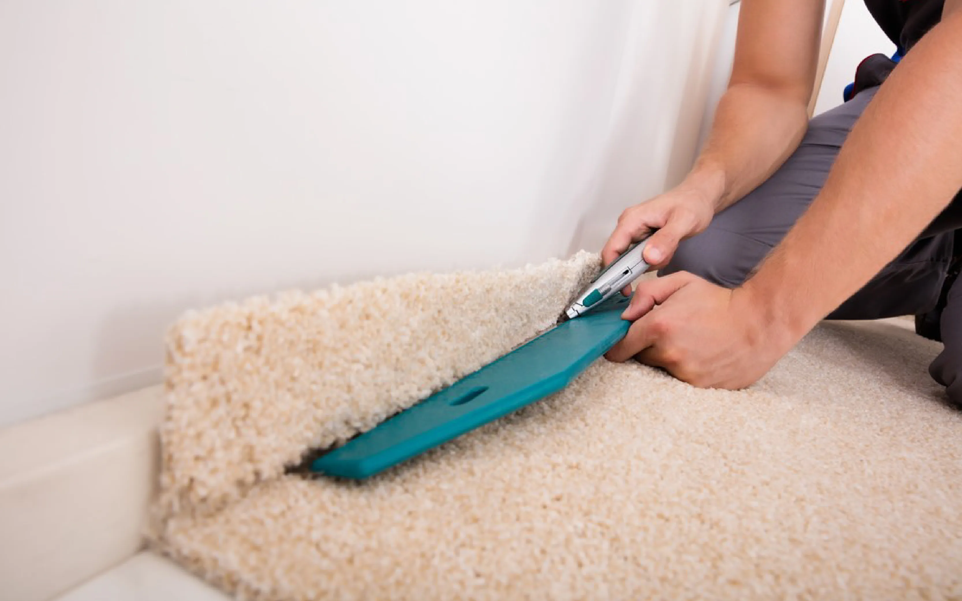 carpet cleaning in Queens, carpet cleaning services in Queens, carpet cleaning Queens, carpet cleaners in Queens, carpet cleaners services in Queens, commercial carpet cleaning, commercial carpet cleaning in Queens, Queens rug cleaners, rug cleaning services in Queens, same day carpet cleaning, same day rug cleaning