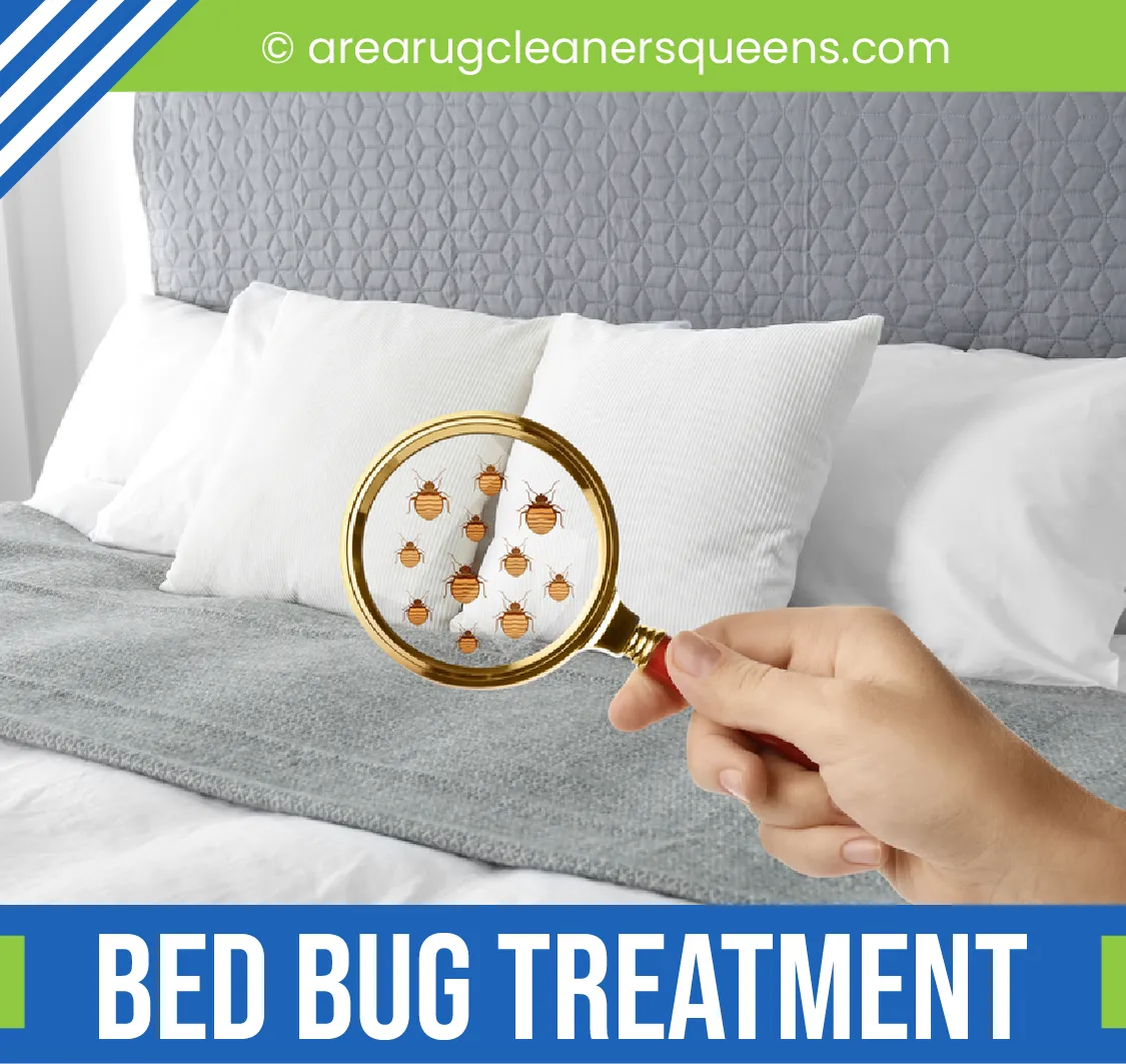 carpet cleaning in Queens, carpet cleaning services in Queens, carpet cleaning Queens, carpet cleaners in Queens, carpet cleaners services in Queens, commercial carpet cleaning, commercial carpet cleaning in Queens, Queens rug cleaners, rug cleaning services in Queens, same day carpet cleaning, same day rug cleaning